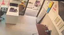 Kayseri'deki akaryakıt istasyonunda kedi ve karga savaşı