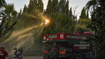 Söke’de makilik ve zeytinlik alanında yangın paniğe neden oldu
