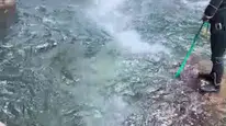 Kahramanmaraş'ta serinlemek için girdiği suda boğulma olayı