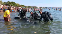 Erdek'te denizde bulunan cesedin kimliği belirlendi