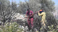 Torbalı'daki orman yangını erken müdahale ile kontrol altına alındı