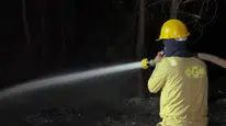 Muğla'daki orman yangını kontrol altına alındı