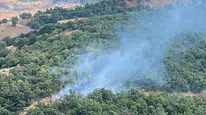 Kütahya'da erken müdahale ile orman yangını kontrol altına alındı