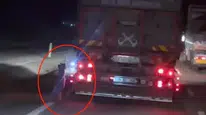 Denizli'de bir köpek kamyonetin arkasında kilometrelerce sürüklendi