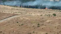 Ankara'da ağaçlık alanda çıkan yangın müdahaleyi gerektiriyor