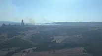 Bilecik'teki yangının nedeni elektrik teline çarpan kuş oldu