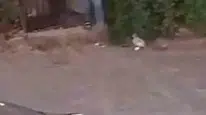 Şanlıurfa'da silahlı kavga: 3 kişi yaralandı ve 3 şüpheli gözaltına alındı
