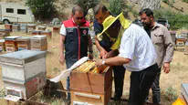 Erzincan'da bal hasadı sezonu başladı: Arıcılar yoğun mesai harcıyor