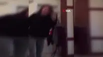 Sosyal medyada yankı uyandıran kaplumbağa cinayetinde şüpheli yakalandı