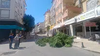 Manavgat'ta fırtına devirdiği ağaç yüzünden yol trafiğe kapatıldı