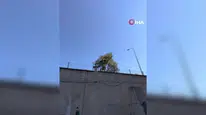 Karton yığınına karşı mahalleli isyan etti: Temizlik ekipleri devrede
