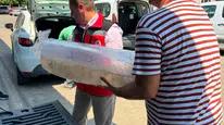 Aydın'da 535 bin sazan yavrusu suyla buluştu
