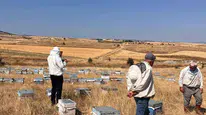 Afyonkarahisar'da arıcılık destekleri için kovan tespit çalışmaları sürüyor