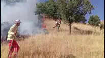 Bingöl'de mera yangını söndürüldü: Ekipler hızlı hareket etti