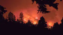 British Columbia'daki orman yangınlarında can kaybı ve büyük tahliyeler yaşandı