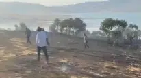Diyarbakır'da ağaçlık alanda çıkan yangın kısa sürede kontrol altına alındı