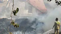 Kastamonu'da büyükbaş hayvanları yakan yangın kontrol altına alındı