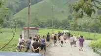 Çay alım merkezinde mevsimlik işçiler arasında kavga: iranda çıkan anlaşmazlık büyüdü
