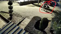 Diyarbakır'da eşinin silahlı saldırısına uğrayan kadın hayatını kaybetti