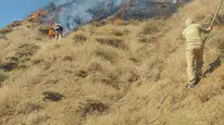 Bingöl'deki yangın sonrası soğutma çalışmaları devam ediyor