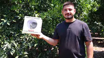 Antalya'da çiftçilere faydalı böcek desteği sunuldu