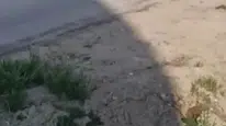 Sevgilisiyle tartıştı, kadını dövdü ama serbest kaldı