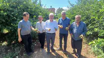 Adana'da dolu felaketi: 35 bin dönüm tarım alanı etkilenirken üretici zor durumda