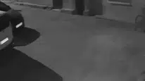İzmir'de sahibine ait köpeğe acımasız tekme atan kişi kameraya yakalandı