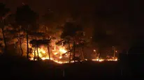 Yangın felaketinde hayvan dostlar için büyük mücadele