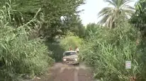 Yemen'de İran destekli Husiler, Kızıldeniz kıyısını ele geçirdi