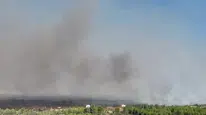 Antalya'nın Aksu ilçesindeki orman yangınında tahliye edilen haneler artırılıyor