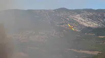 Kozan'daki orman yangını nedeniyle 40 ev tahliye edildi