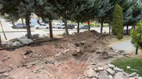 Ankara'da ağaç kesim kararına tepki: Yol çalışmaları durduruldu