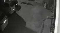 İzmir'de köpeğine tekme atan şahsın görüntüleri güvenlik kamerasında