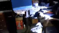 Tokat’ta 11 adrese eş zamanlı silah operasyonu: 11 gözaltı