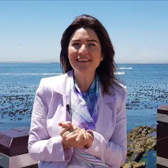 Elif Çomoğlu Ülgen