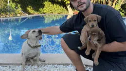 Cem Belevi barınaktan iki köpek sahiplendi