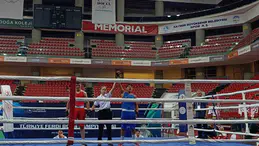 Cizreli genç boksör Çeyrek finale yükseldi
