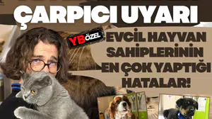 Veterinerden çarpıcı uyarı: Evcil hayvan sahiplerinin en çok yaptığı hatalar!