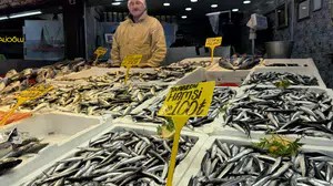 Balık tezgâhlarında yüzler gülüyor: Hamsi ve istavrit 100 TL