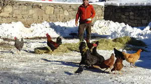 Kar, buz, soğuk… Sarıkamış’ta üretimin hikâyesi