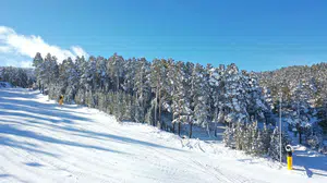 Kar yağışı Sarıkamış’ta doğayı beyaza boyadı