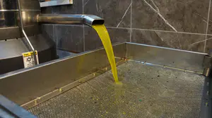 Rekolte düşüşü piyasayı hareketlendirdi... Zeytinyağında dengeler altüst oldu!