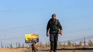 81 il, 81 fidan! Hayali gerçeğe dönüştü