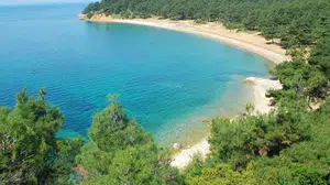 Erikli Nerede, Nasıl Gidilir, Tatil Yerleri Nereler, Nerede Denize Girilir, Pansiyon Fiyatları Nasıldır?