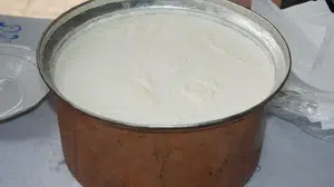 Rüyada Yoğurt Görmek, Yemek, Mayalamak Ne Anlama Gelir, Neye İşarettir?