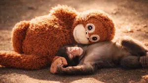 Viral görüntüler sonrası satış patlaması!