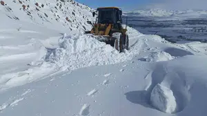 Van, Bitlis ve Muş’ta 147 yol kar nedeniyle kapandı