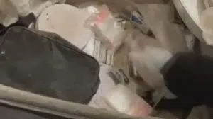 Zehir tacirleri değil adeta terör yuvası: El bombası ve eroin aynı evden çıktı!