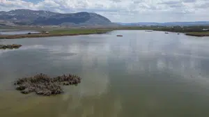 Kurumaktan son anda kurtuldu: Sivas’ın kalbindeki o gölde hayat yeniden başladı